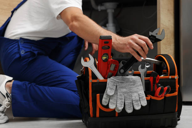 Best Toilet Repair Services  in Mmaduke, AR
